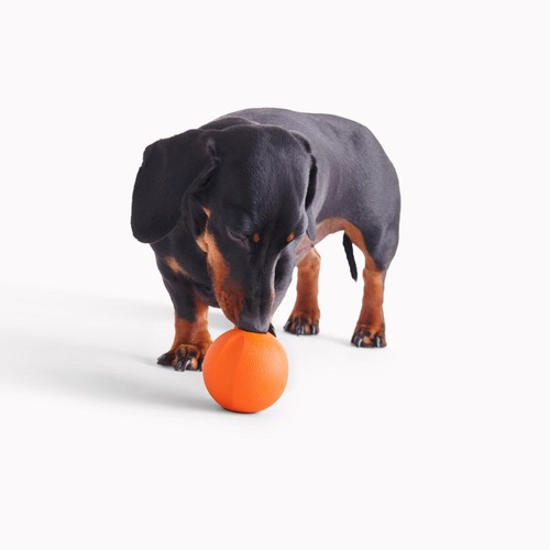 Beco Natural Rubber Fetch Ball - Orange thumbnail 4