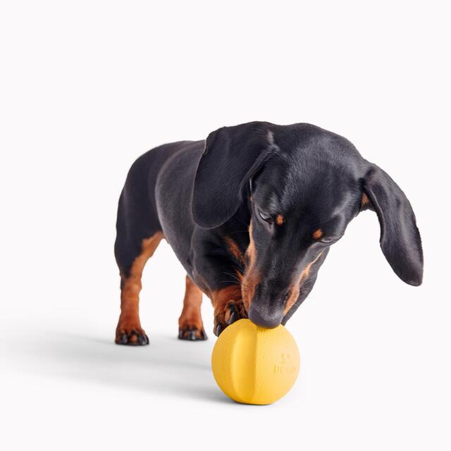 Beco Natural Rubber Fetch Ball - Yellow thumbnail 5