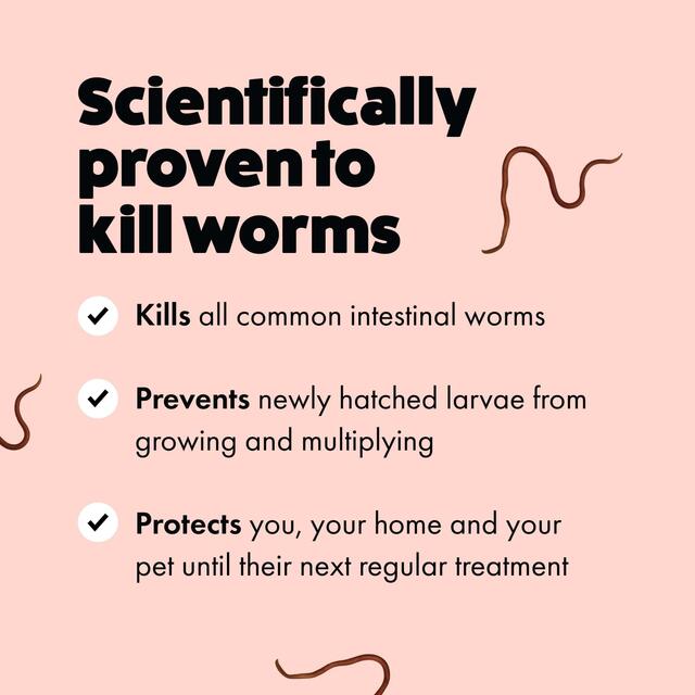 Itch Wormer Tablet Treatment For Cats (1kg +) thumbnail 4