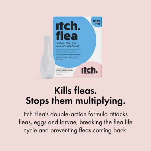 Itch Flea Large Dog Spot-On Flea & Tick treatment (20-40kg) thumbnail 4
