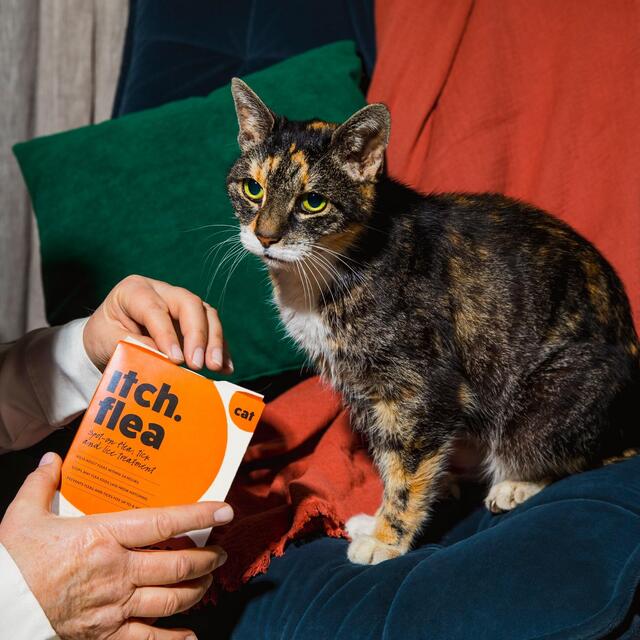 Itch Flea Cat Spot-On Flea & Tick treatment (1kg+) thumbnail 4