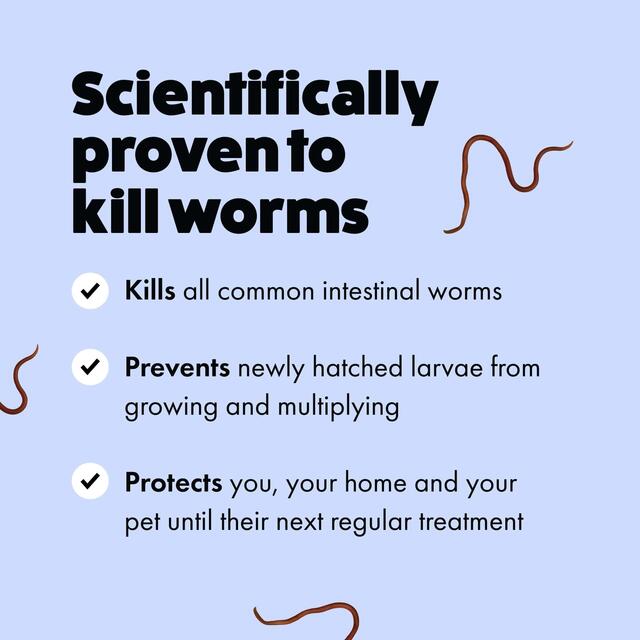 Itch Wormer Tablet Treatment For XL Dogs (20kg+) thumbnail 3