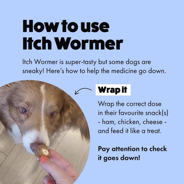 Itch Wormer Tablet Treatment For XL Dogs (20kg+) thumbnail 4