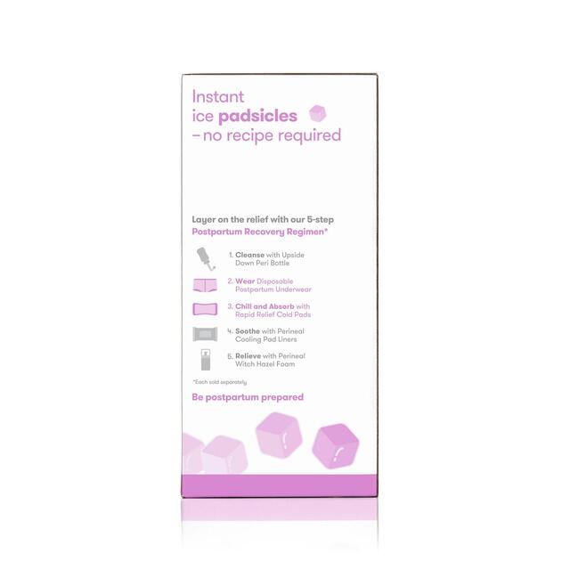 Frida Mom Instant Ice Maxi Pads (8pk + 2 boyshort disposable underwear) thumbnail 2