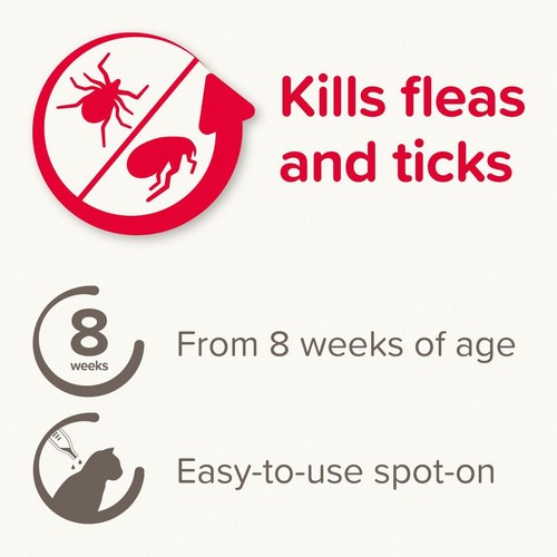 Beaphar FIPROtec Flea & Tick Spot-On for Cats thumbnail 4