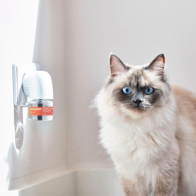 Beaphar CatComfort Excellence Calming Diffuser for Cats, Starter Pack thumbnail 6