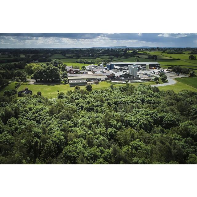 Belton Farm Smoked Red Fox thumbnail 4