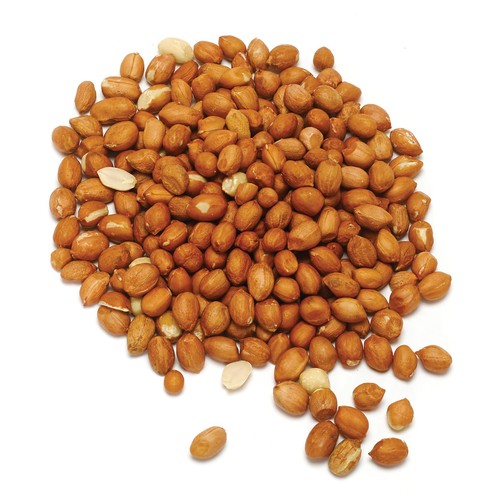 RSPB Premium Peanuts thumbnail 3