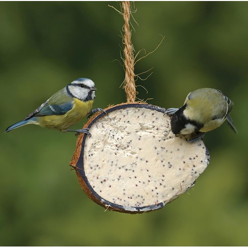 RSPB Coconut Treat thumbnail 2