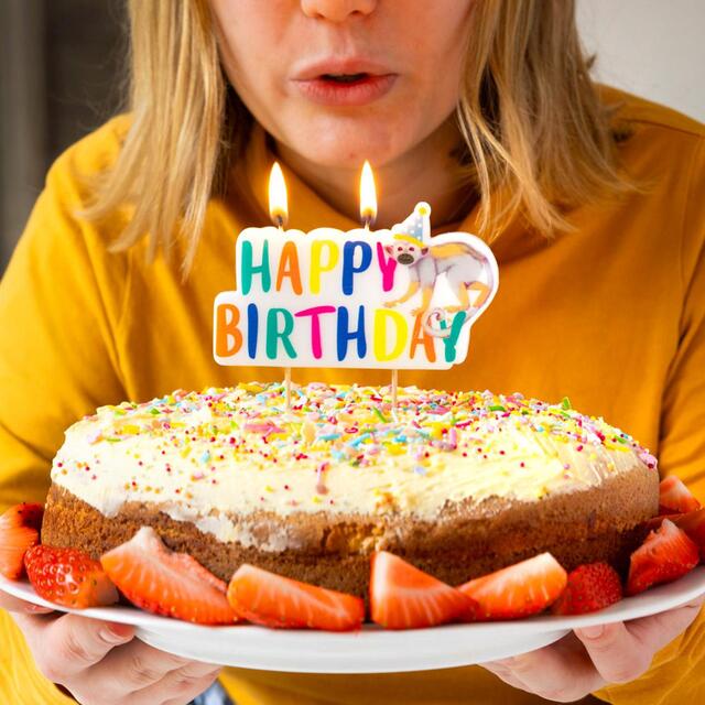 Talking Tables Safari Animal Birthday Candle thumbnail 2