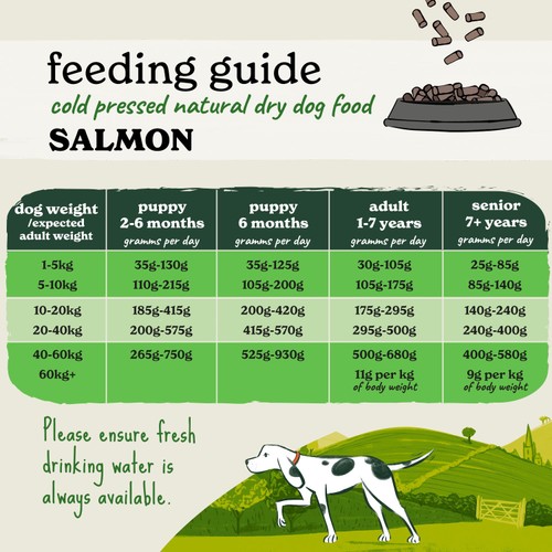 Forthglade Cold Pressed Dry Dog Food Salmon with Sweet Potato thumbnail 9