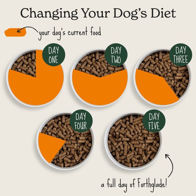 Forthglade Natural Dry Grain Free Salmon Cold Pressed thumbnail 8