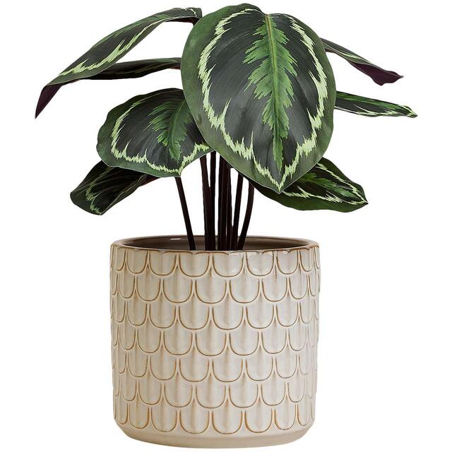 M&S Medium Scalloped Textured Planter, White thumbnail 2