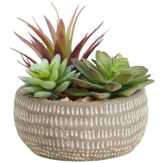 M&S Moss & Sweetpea Artificial Succulents in Concrete Pot