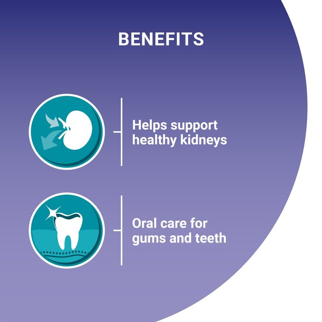 Purina One Senior 7+ Chicken Dry Cat Food thumbnail 4