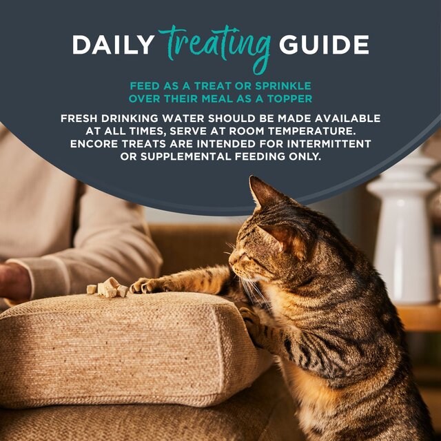 Encore Cat Freeze Dried Chicken Breast thumbnail 4