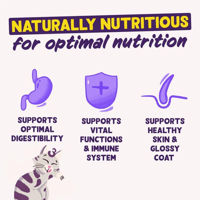 Edgard & Cooper Cat Dry Food Adult Salmon thumbnail 4