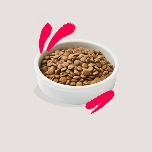 Edgard & Cooper Cat Dry Food Senior Chicken & Turkey thumbnail 3
