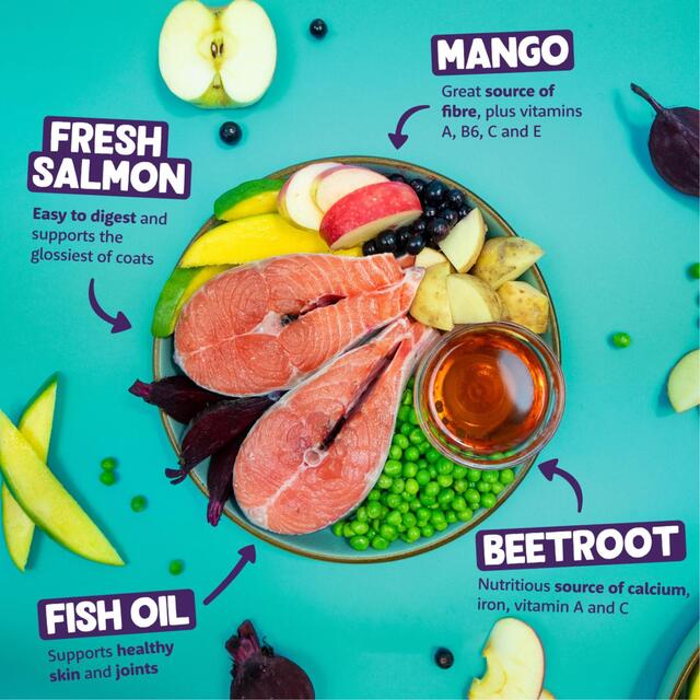 Edgard & Cooper Fresh Dog Dry Food Grain Free Adult Salmon thumbnail 3