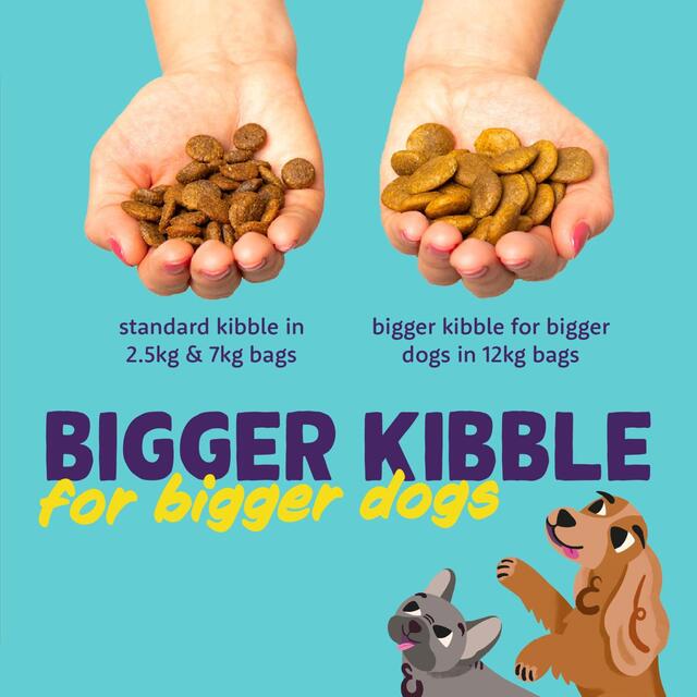 Edgard & Cooper Fresh Dog Dry Food Grain Free Adult Chicken thumbnail 5