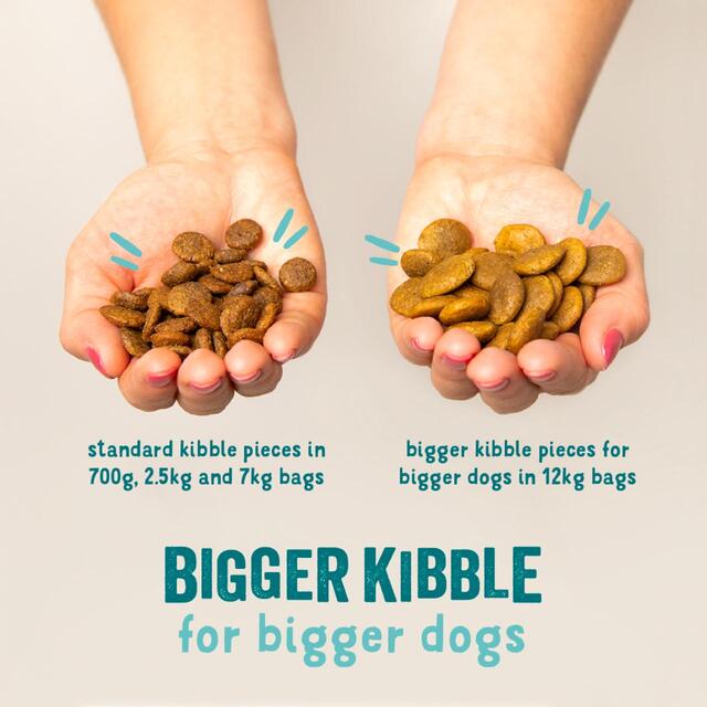 Edgard & Cooper Fresh Dog Dry Food Plant Based Adult Beetroot & Pumpkin thumbnail 4