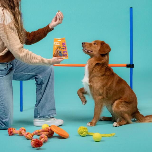 Edgard & Cooper Fresh Dog Large Bites Adult Grain Free Chicken thumbnail 4