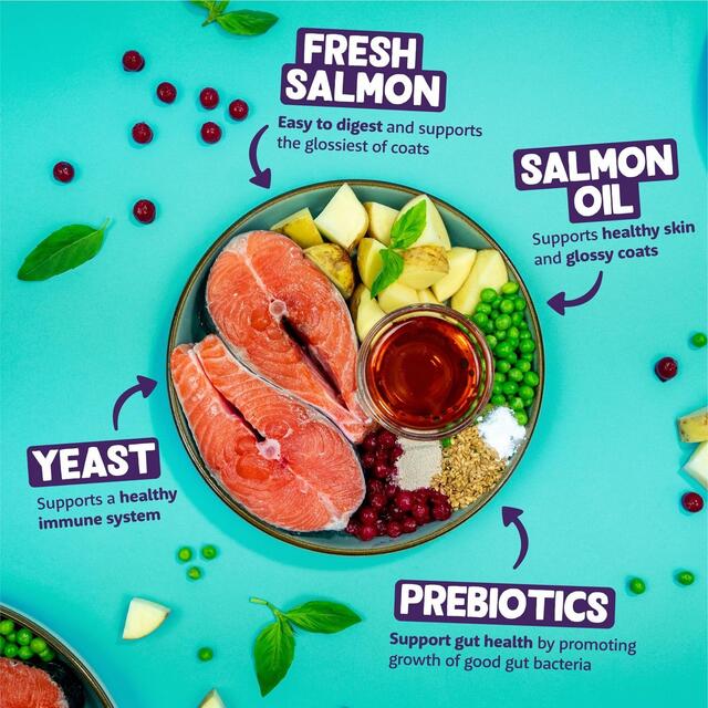 Edgard & Cooper Cat Dry Food Adult Salmon thumbnail 3