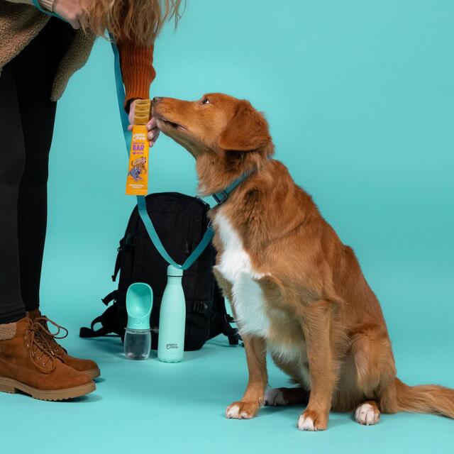 Edgard & Cooper Fresh Dog Treat Bar Grain Free Turkey thumbnail 4