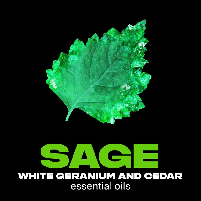 Lynx Fine Fragrance Collection Premium Deodorant Bodyspray Emerald Sage thumbnail 5