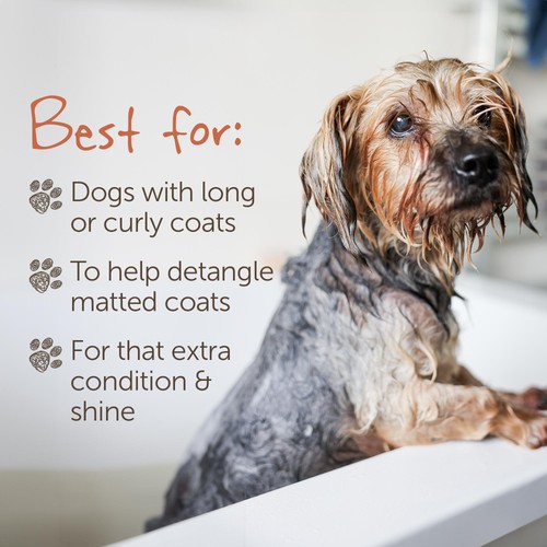 Little Beast Organic Scruffy Dog Shampoo Bar thumbnail 8