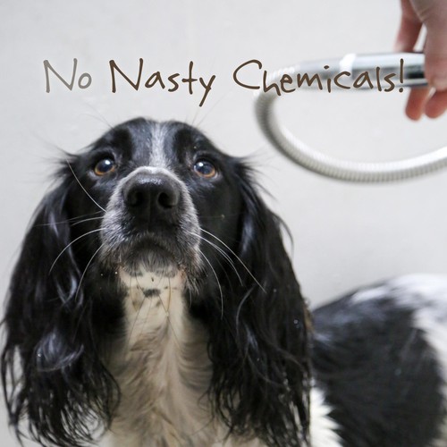 Little Beast Organic Sensitive Dog Shampoo Bar thumbnail 6