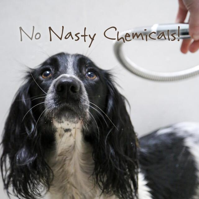 Little Beast Organic Sensitive Dog Shampoo Bar thumbnail 6