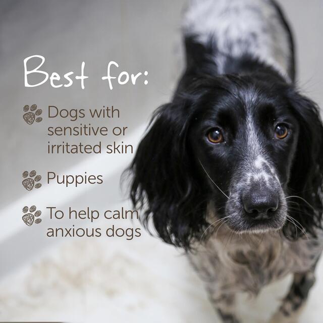 Little Beast Organic Sensitive Dog Shampoo Bar thumbnail 8