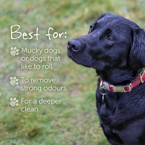 Little Beast Organic Smelly Dog Shampoo Bar thumbnail 8