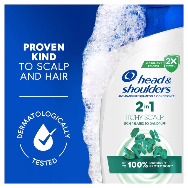 Head & Shoulders Itchy 2In1 thumbnail 7