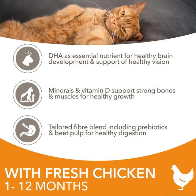 IAMS 1-12 Months Kitten Dry Cat Food Chicken thumbnail 3