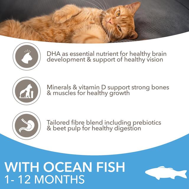 IAMS 1-12 Months Kitten Dry Cat Food Ocean Fish thumbnail 3