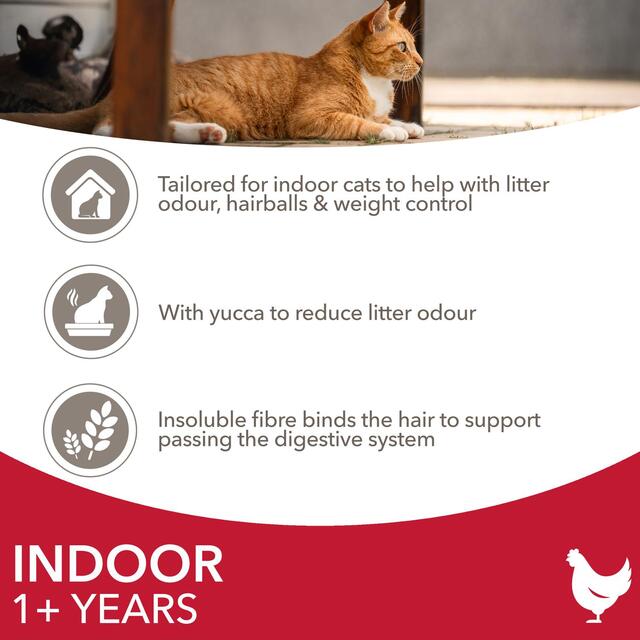 IAMS 1+ Years Indoor Dry Cat Food Chicken thumbnail 3