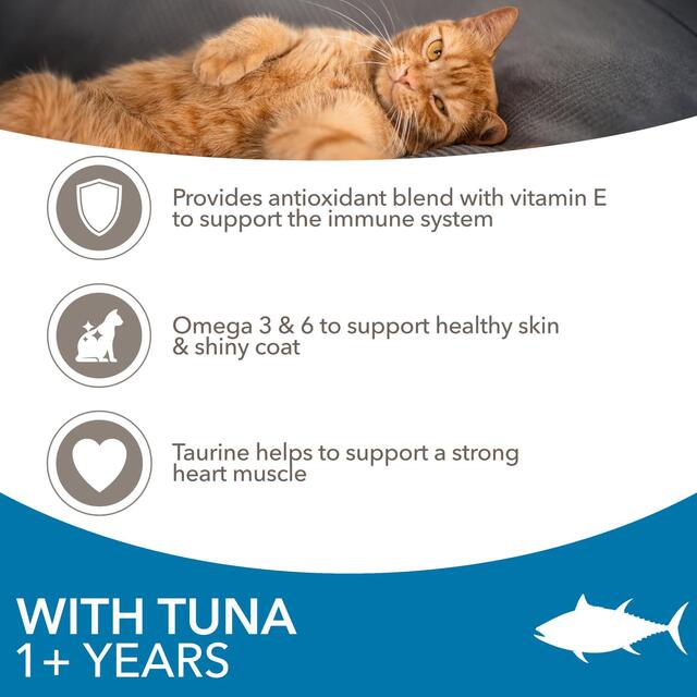 IAMS 1+ Years Adult Dry Cat Food Tuna thumbnail 3