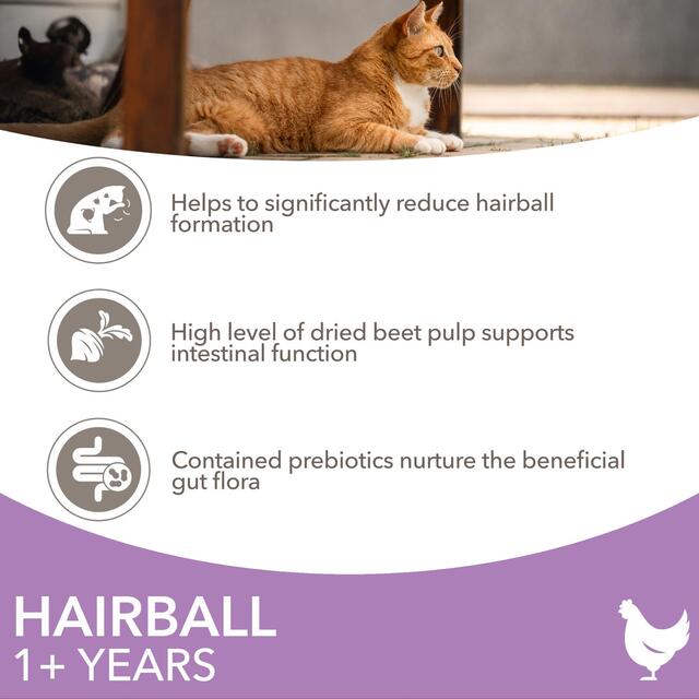 IAMS 1+ Years Hairball Dry Cat Food Chicken thumbnail 3