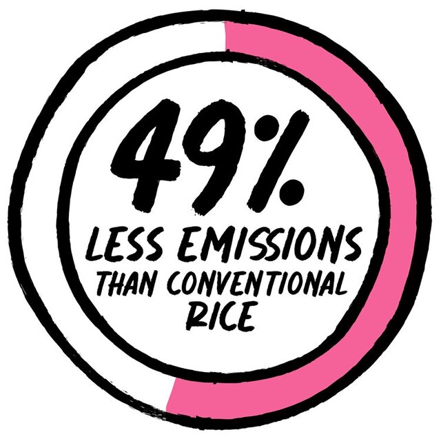 Nice Rice Wholegrain Basmati Rice thumbnail 4