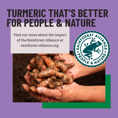 Bart Turmeric Ground thumbnail 3