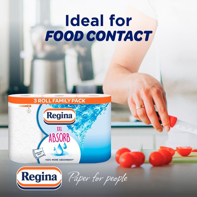 Regina Absorb Kitchen Roll 225 Supersized Sheets 3 Roll thumbnail 4