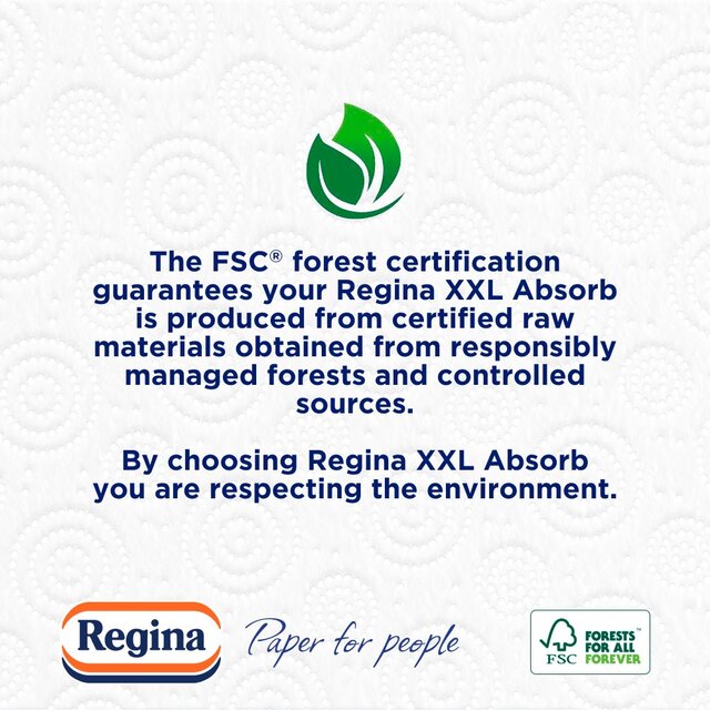 Regina Absorb Kitchen Roll 225 Supersized Sheets 3 Roll thumbnail 5