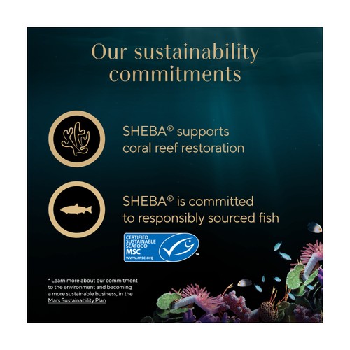 Sheba Fillets Cat Food Tray with Chicken, Shrimp and Ocean fish in Gravy thumbnail 6