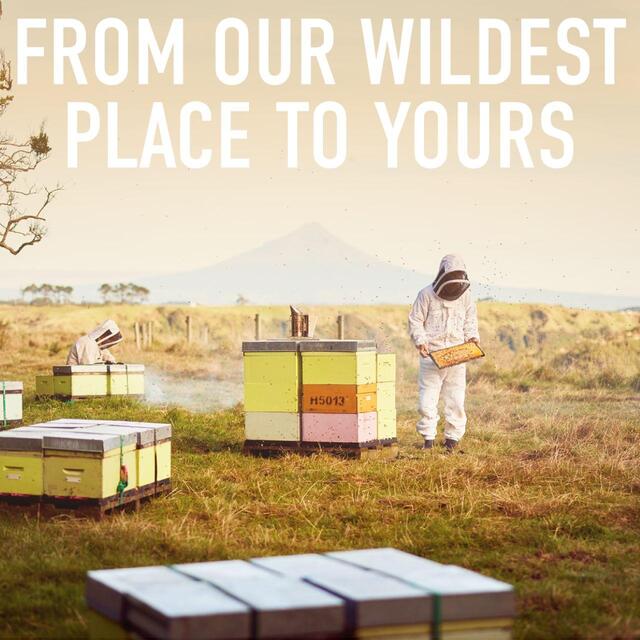 Egmont Honey 100 MGO Squeeze Manuka Honey thumbnail 5