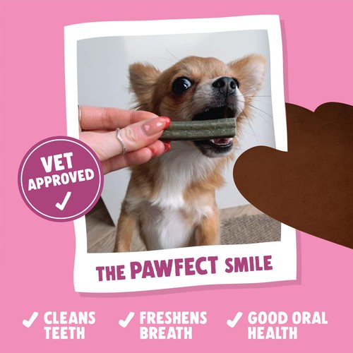 Denzel's Puppy Dental Sticks, Salmon, Spearmint & Coconut Oil thumbnail 6