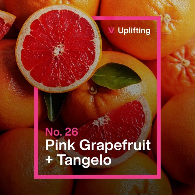 INEOS Washing Up Liquid Pink Grapefruit + Tangelo thumbnail 7
