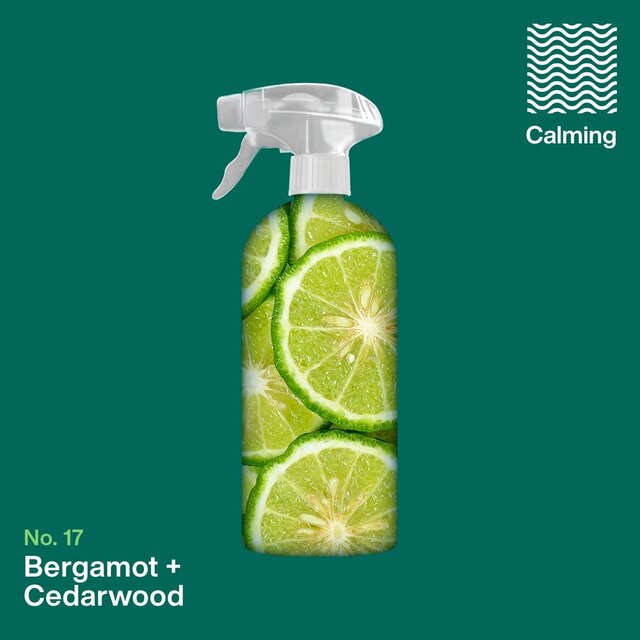 INEOS Antibac Multi-Room Cleaner Bergamot + Cedarwood thumbnail 10