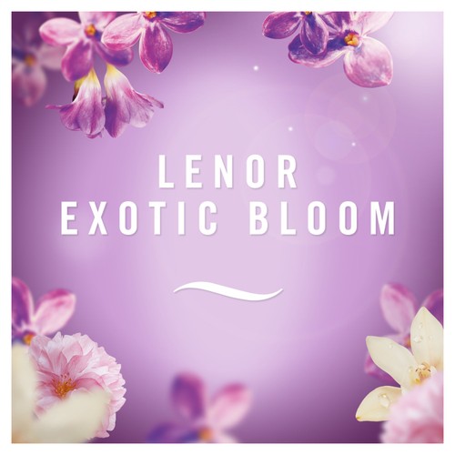 Febreze Aerosol Exotic Bloom Air Freshener thumbnail 3